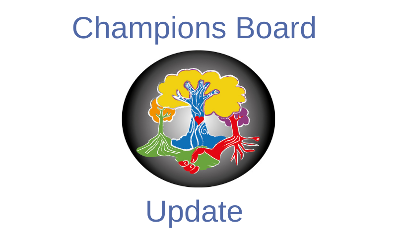 Champions Board Update